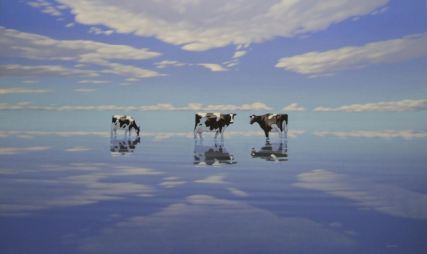 cows and clouds